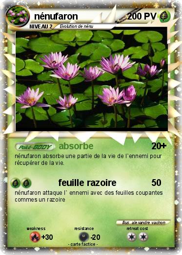 Pokemon nénufaron