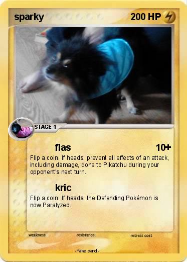 Pokemon sparky
