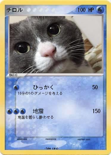 Pokemon チロル