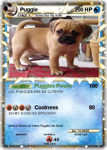 Pokemon Puggle