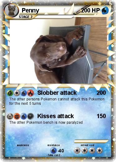 Pokemon Penny
