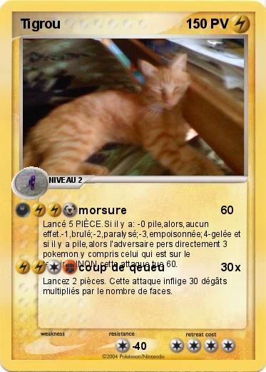 Pokemon Tigrou