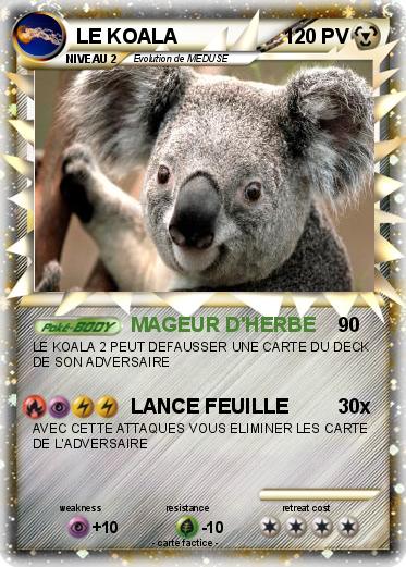 Pokemon LE KOALA