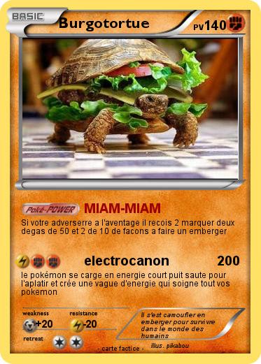 Pokemon Burgotortue
