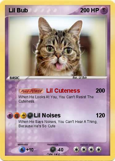 Pokemon Lil Bub