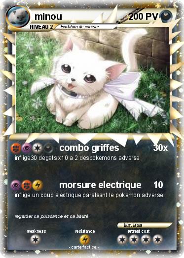 Pokemon minou
