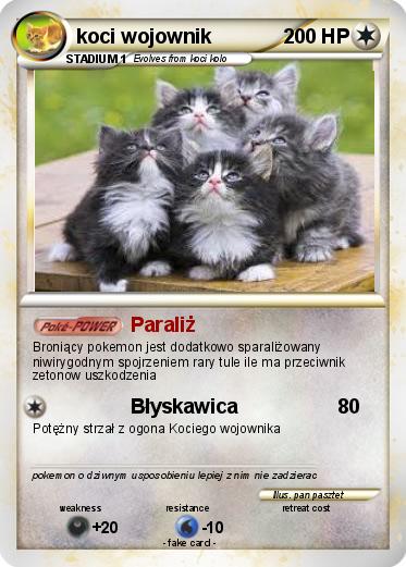 Pokemon koci wojownik