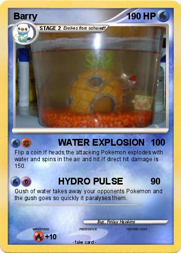 Pokemon Barry