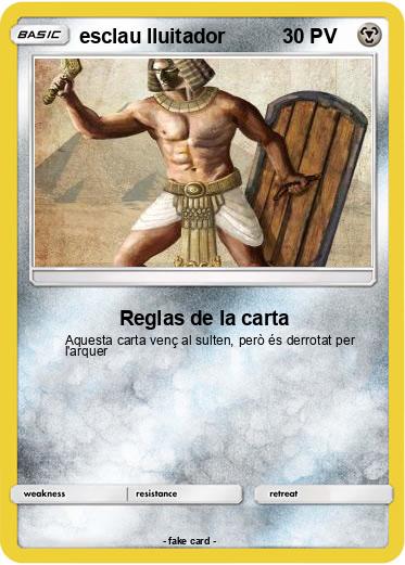 Pokemon esclau lluitador