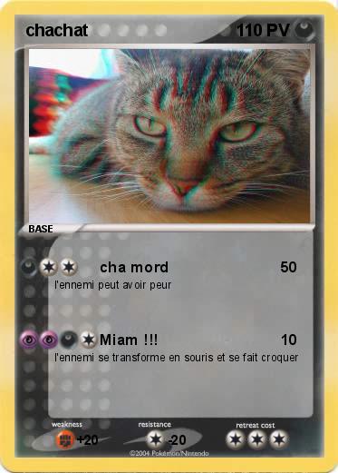 Pokemon chachat