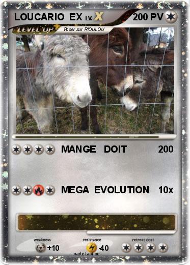 Pokemon LOUCARIO  EX