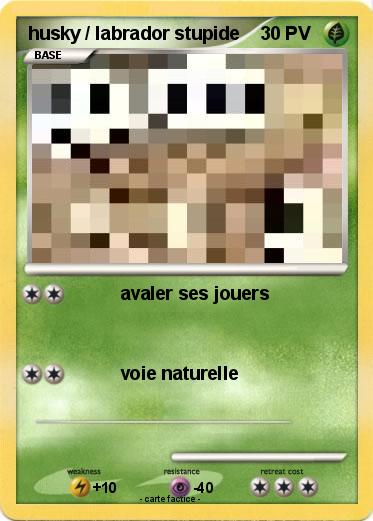 Pokemon husky / labrador stupide
