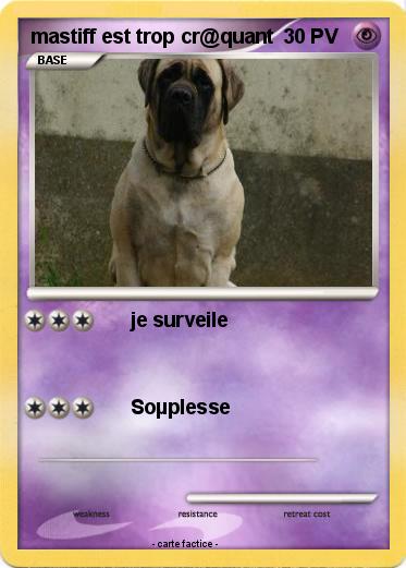 Pokemon mastiff est trop cr@quant