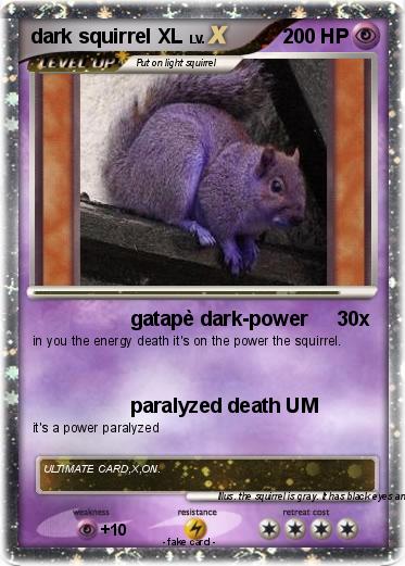 Pokemon dark squirrel XL