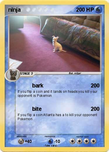 Pokemon ninja