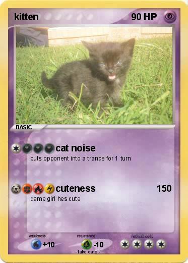 Pokemon kitten