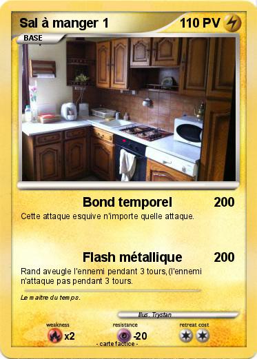 Pokemon Sal à manger 1