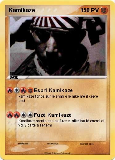 Pokemon Kamikaze