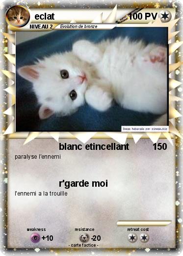 Pokemon eclat