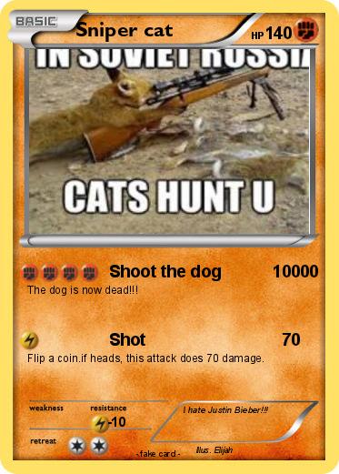 Pokemon Sniper cat