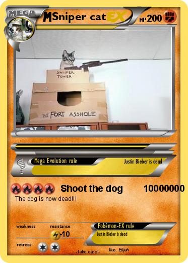 Pokemon Sniper cat