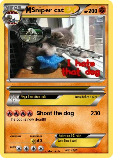 Pokemon Sniper cat