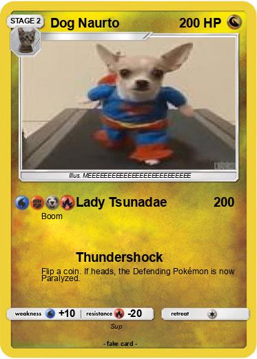 Pokemon Dog Naurto