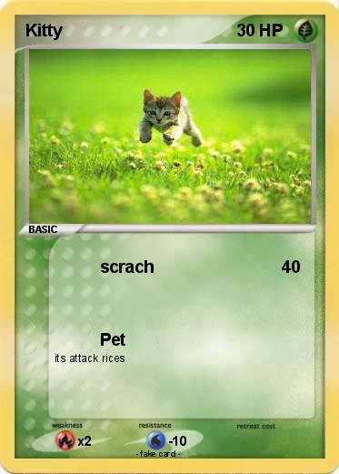 Pokemon Kitty