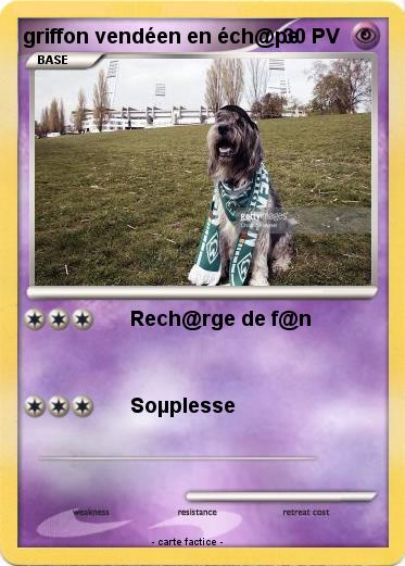 Pokemon griffon vendéen en éch@pe