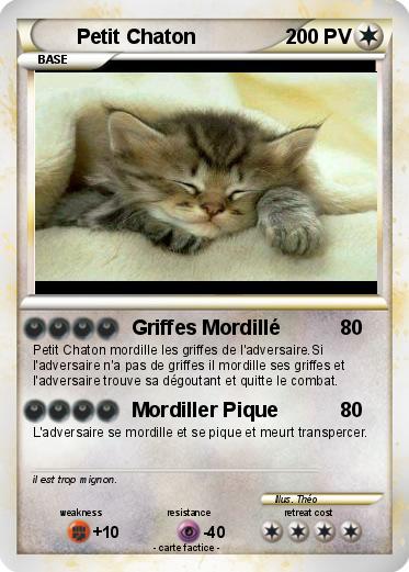 Pokemon Petit Chaton