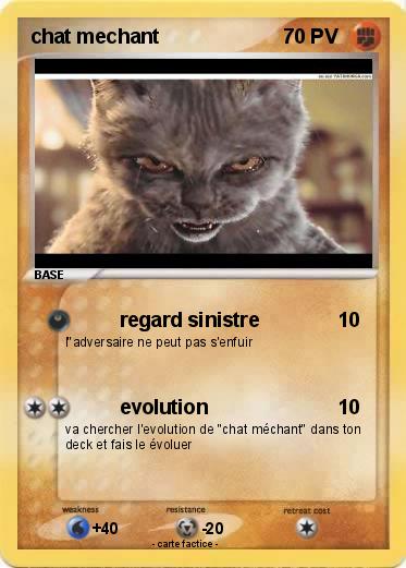 Pokemon chat mechant