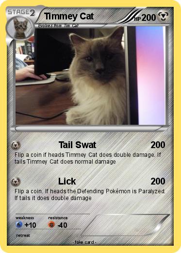 Pokemon Timmey Cat