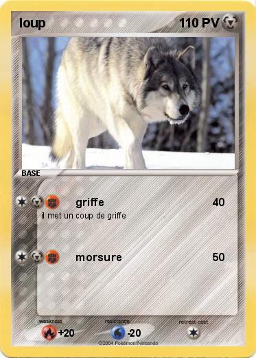 Pokemon loup