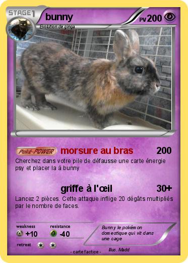 Pokemon bunny