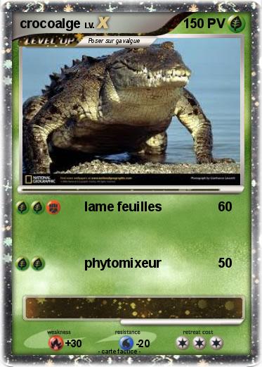 Pokemon crocoalge