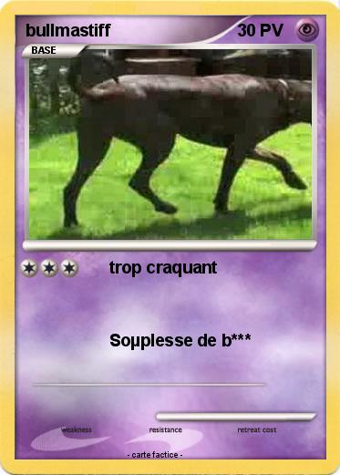 Pokemon bullmastiff