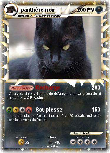 Pokemon panthère noir