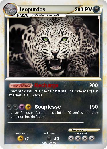 Pokemon leopurdos
