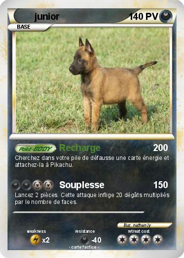 Pokemon junior