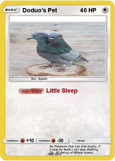 Pokemon Doduo’s Pet