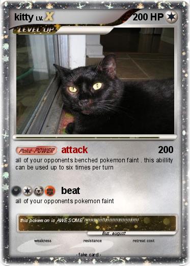 Pokemon kitty