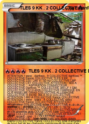 Pokemon TLES 9 KK . 2 COLLECTIVE Danfoss ™