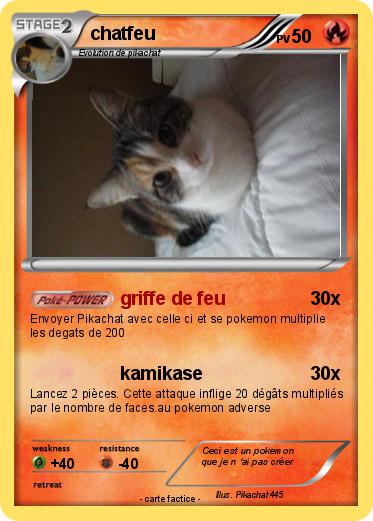 Pokemon chatfeu