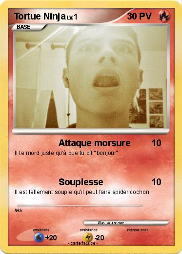 Pokemon Tortue Ninja