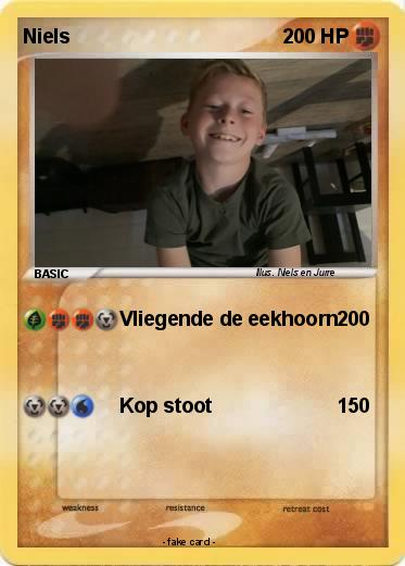 Pokemon Niels