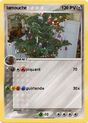 Pokemon lamouche
