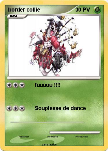 Pokemon border collie
