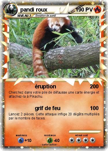 Pokemon pandi roux