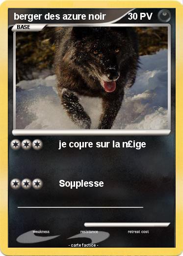 Pokemon berger des azure noir