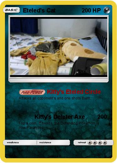 Pokemon Eteled's Cat